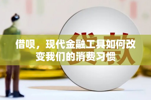 立山借呗，现代金融工具如何改变我们的消费习惯