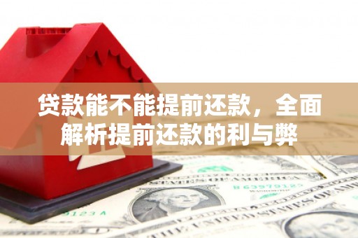 立山贷款能不能提前还款，全面解析提前还款的利与弊