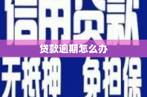 立山贷款逾期怎么办