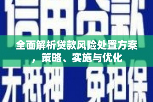 立山全面解析贷款风险处置方案，策略、实施与优化