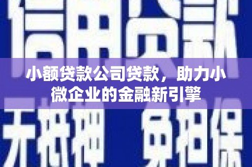 立山小额贷款公司贷款，助力小微企业的金融新引擎