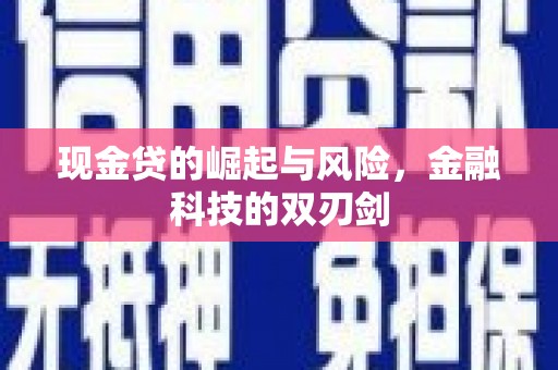 立山现金贷的崛起与风险，金融科技的双刃剑