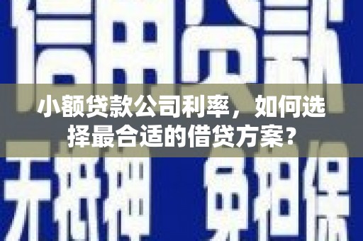 立山小额贷款公司利率，如何选择最合适的借贷方案？