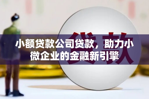 立山小额贷款公司贷款，助力小微企业的金融新引擎