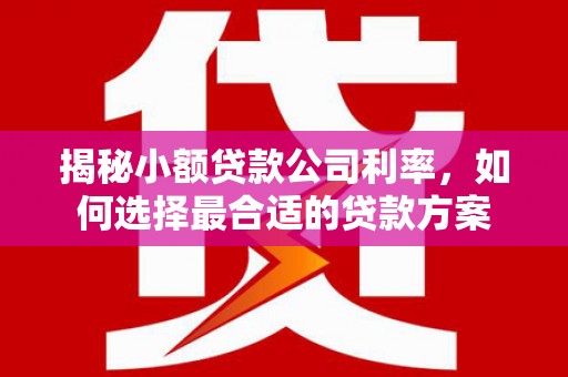 立山揭秘小额贷款公司利率，如何选择最合适的贷款方案