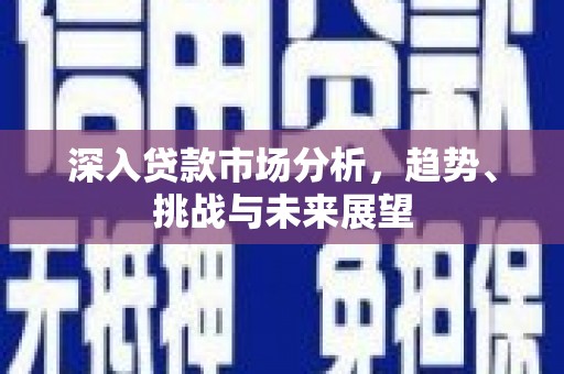 立山深入贷款市场分析，趋势、挑战与未来展望