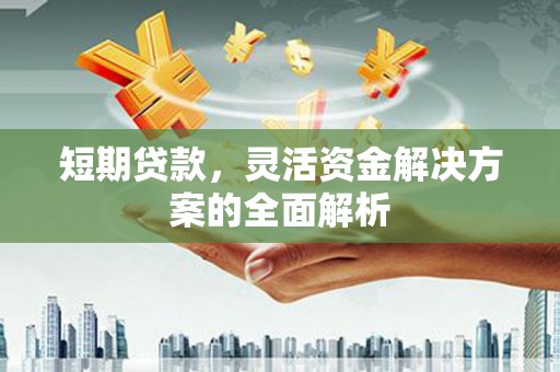 立山短期贷款，灵活资金解决方案的全面解析