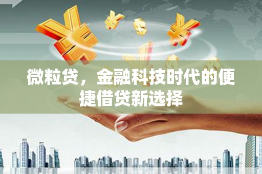 立山微粒贷，金融科技时代的便捷借贷新选择