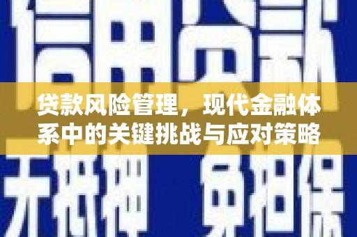 立山贷款风险管理，现代金融体系中的关键挑战与应对策略