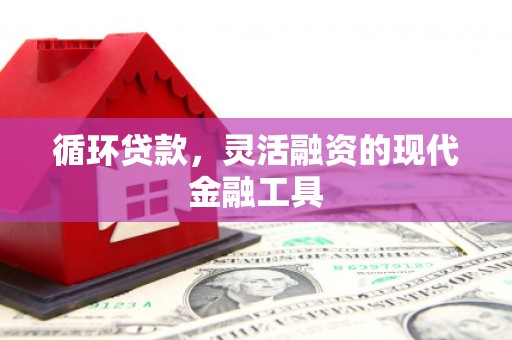 立山循环贷款，灵活融资的现代金融工具