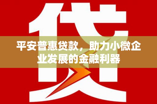 立山平安普惠贷款，助力小微企业发展的金融利器