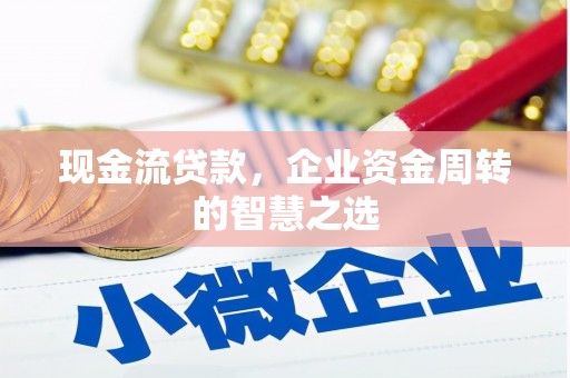 立山现金流贷款，企业资金周转的智慧之选