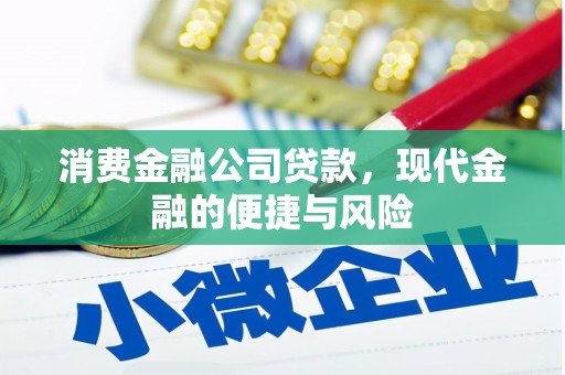 立山消费金融公司贷款，现代金融的便捷与风险