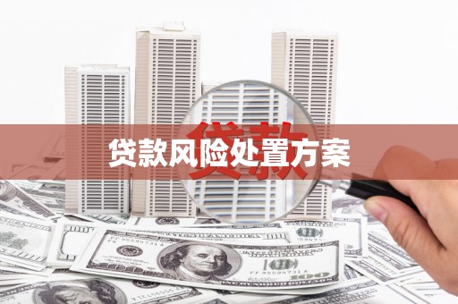 立山贷款风险处置方案