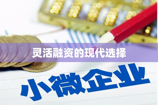 立山灵活融资的现代选择