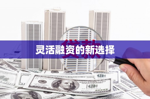 立山灵活融资的新选择