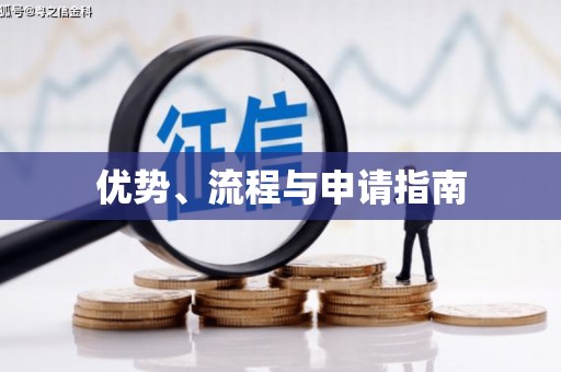 立山优势、流程与申请指南