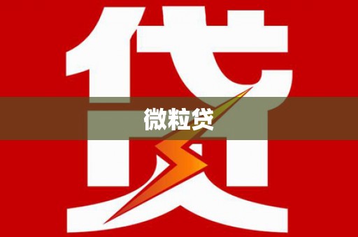 立山微粒贷