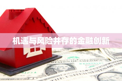 立山机遇与风险并存的金融创新