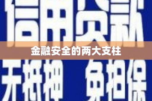 立山金融安全的两大支柱