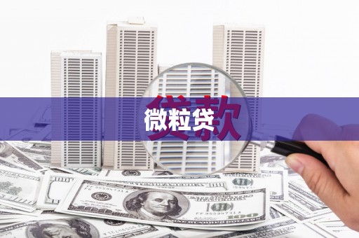 立山微粒贷