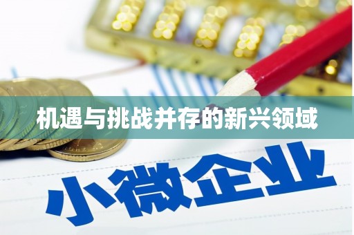 立山机遇与挑战并存的新兴领域