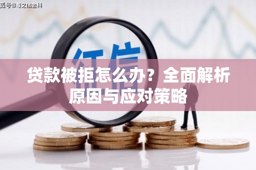 立山贷款被拒怎么办？全面解析原因与应对策略