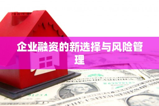 立山企业融资的新选择与风险管理