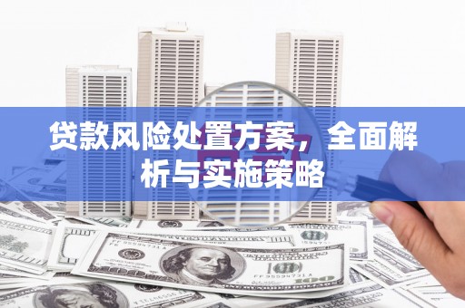 立山贷款风险处置方案，全面解析与实施策略