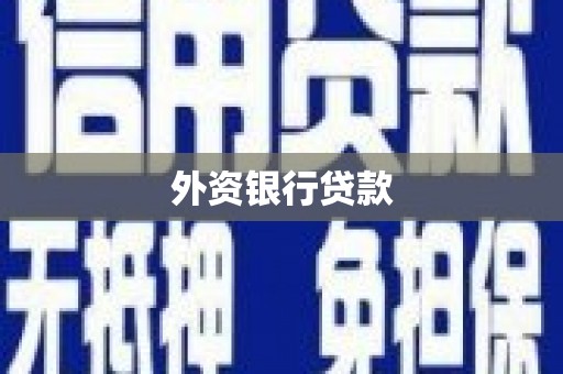 立山外资银行贷款
