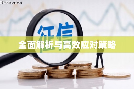 立山全面解析与高效应对策略